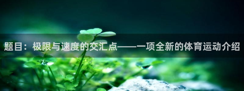 题目：极限与速度的交汇点——一项全新的体育运动介绍