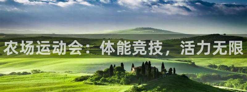 农场运动会：体能竞技，活力无限